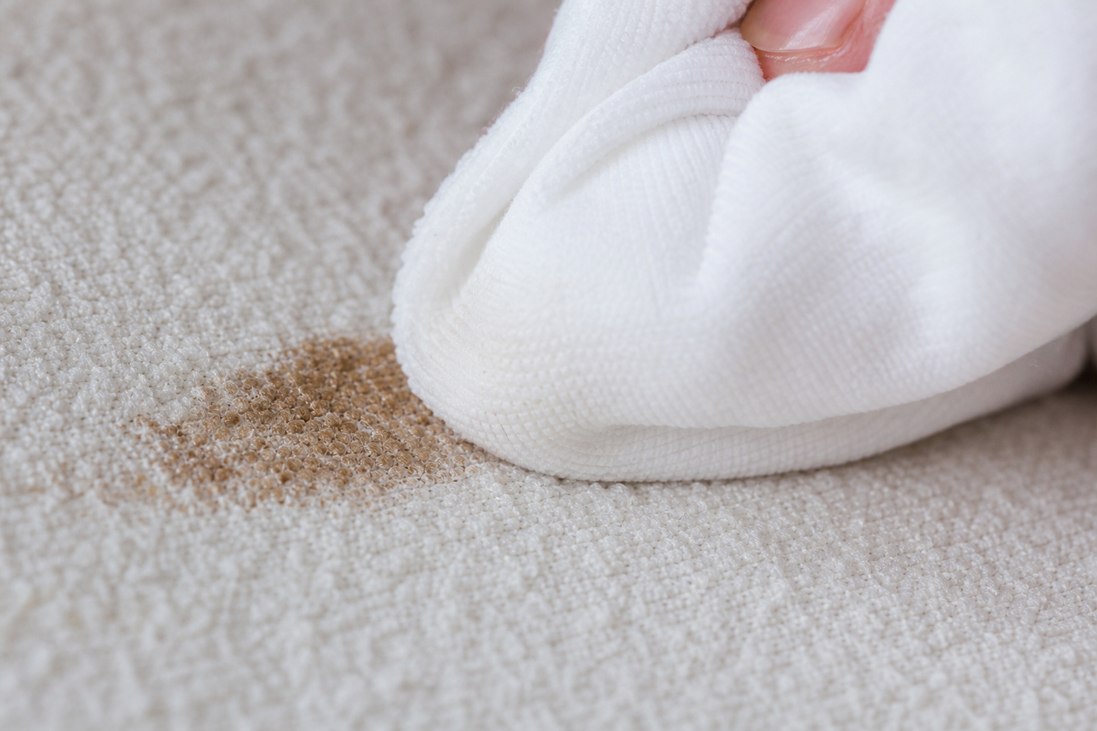 The Best Way to Remove Pumpkin Spice Latte Stains From a White Couch — visual 1